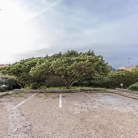 With View Over Asinara Island